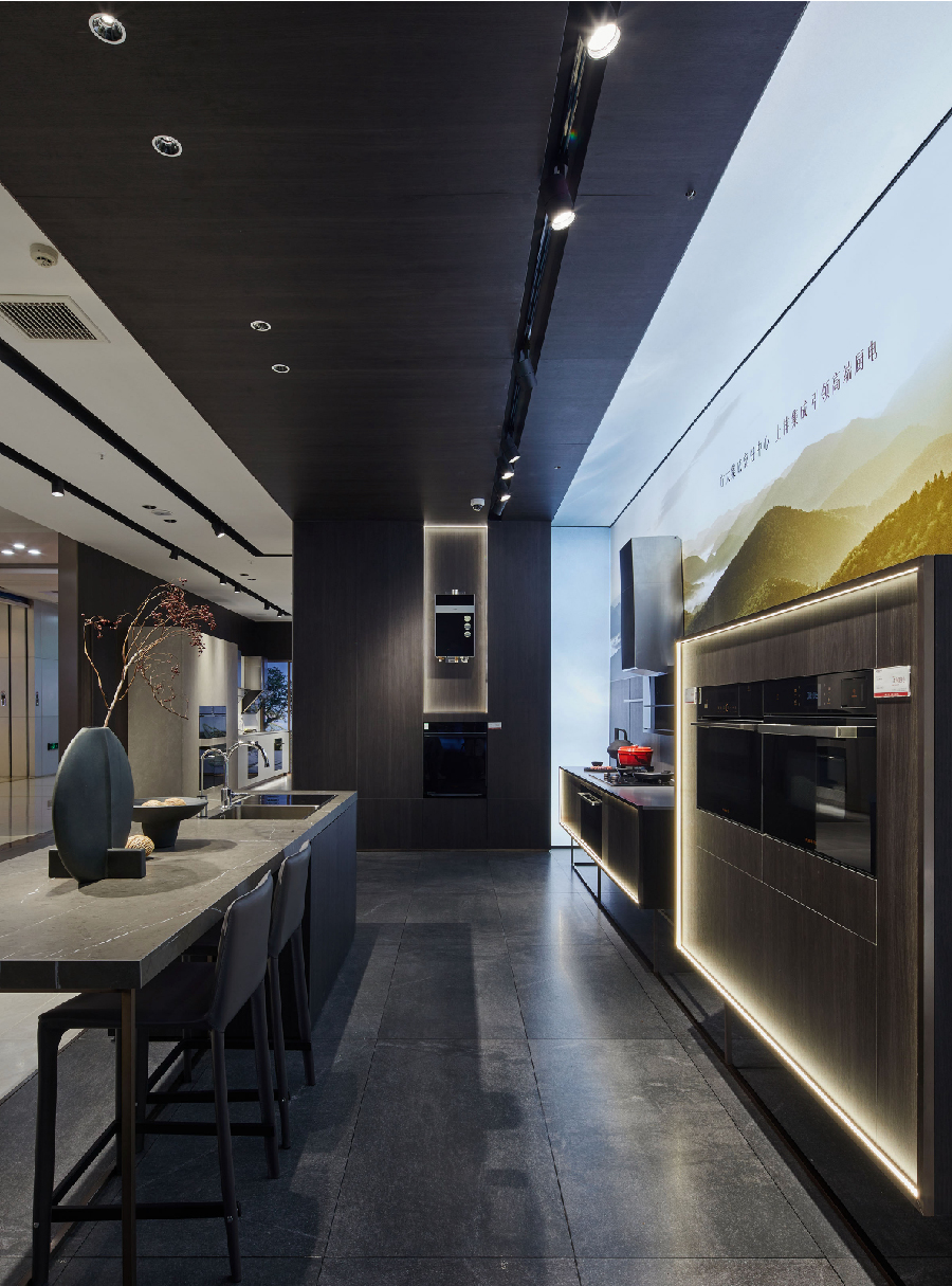 瑞德设计公司现状,瑞德设计公司简介