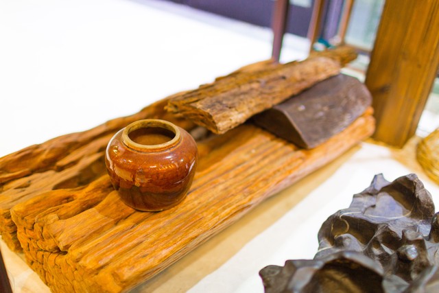 沉香树苗哪里品种最正宗最好,沉香树打孔结香