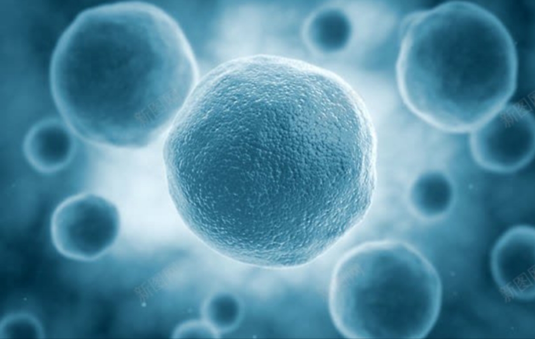 从白带颜色怎样判断妇科疾病,妇科病怎么从白带可以看出来