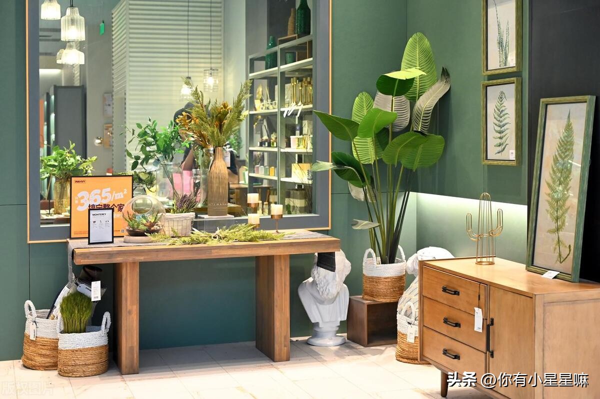 最好的甲醛吸附植物,室内吸附甲醛植物排名