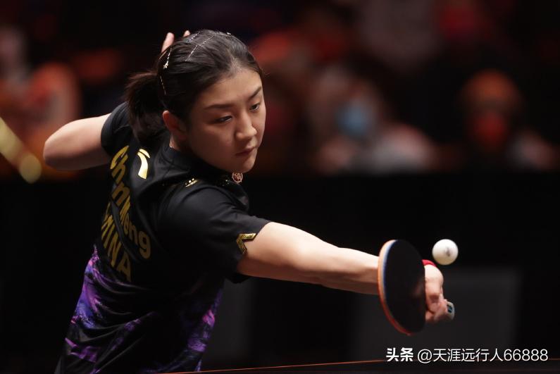 乒乓球澳门赛王楚钦战胜张本智和,新乡世界杯王楚钦对阵张本智和