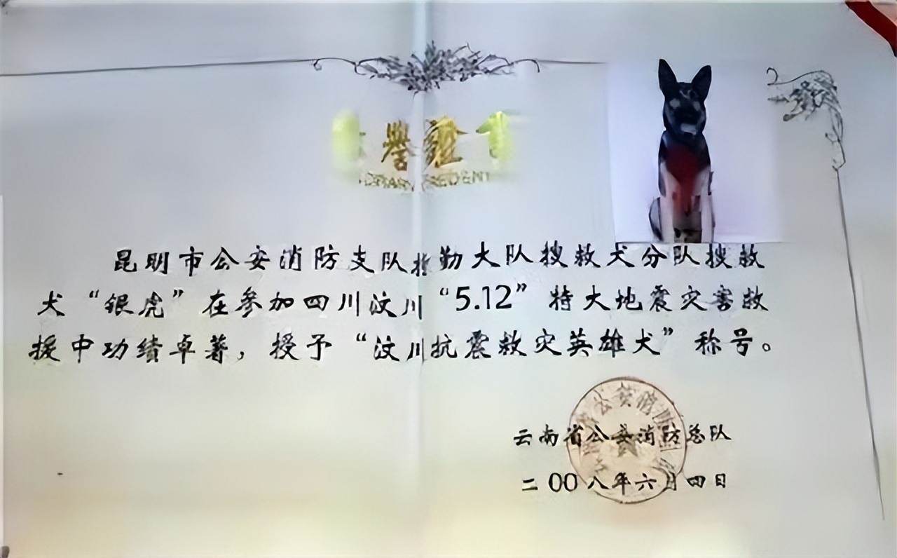 汶川地震搜救战士,汶川地震连续搜救十天十夜