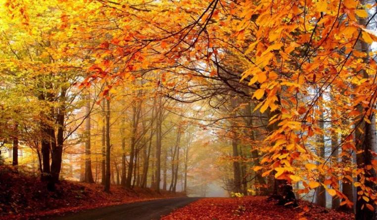 小楼辛丑年辑|熊盛元