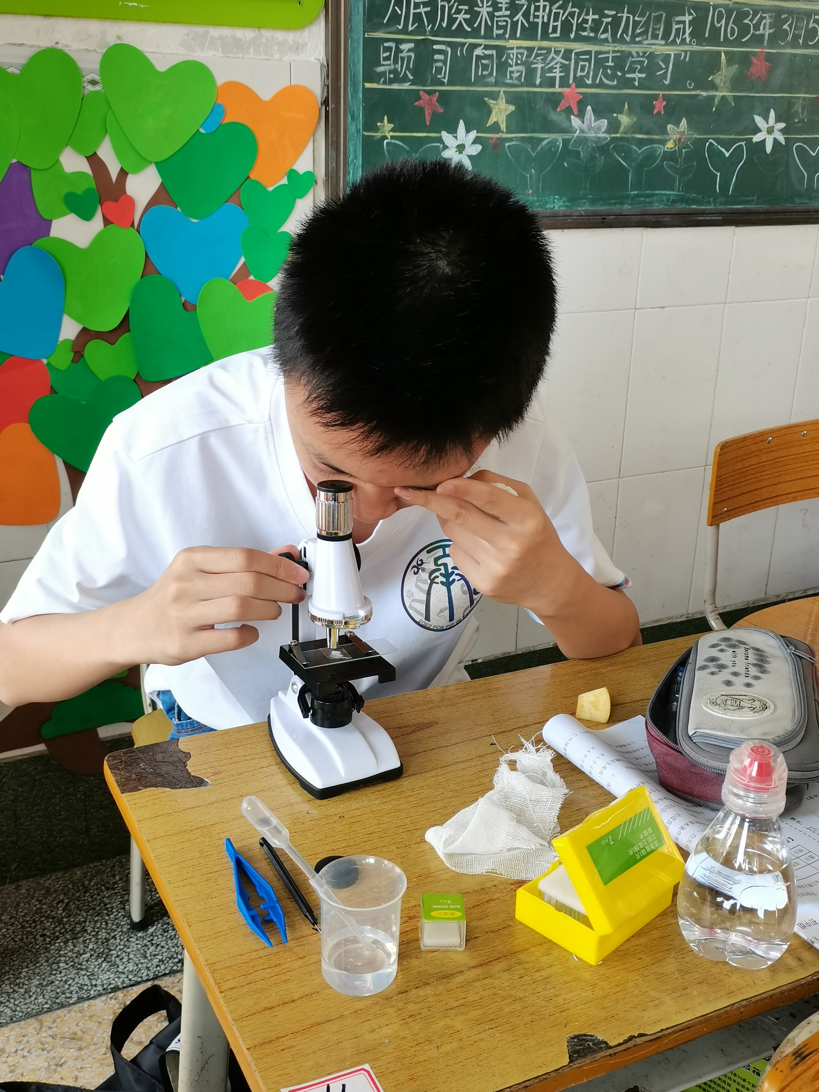 小小科学家小实验推送,2024广东省小小科学家物理答案