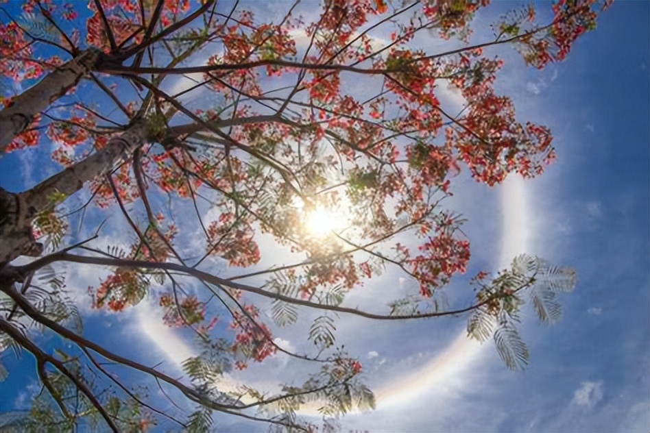 金哥亲身体验，客观评价攀枝花的城市发展！不知道其他朋友赞同吗