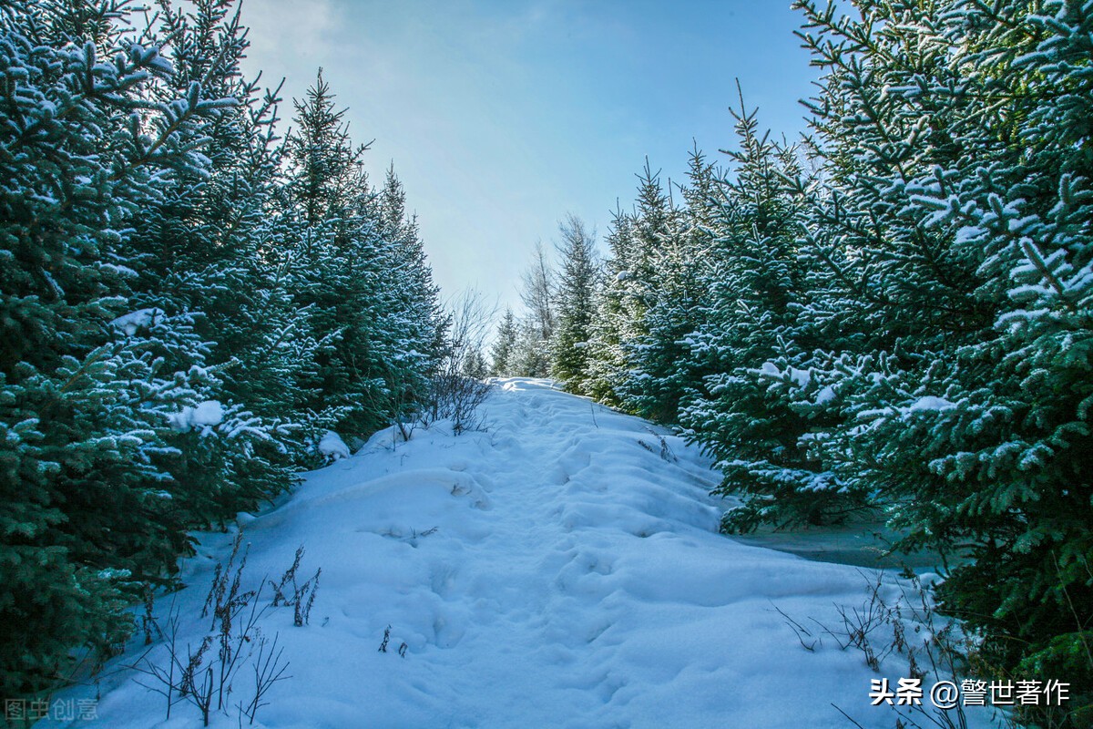 七律山水情怀诗,青山绿水美景如画七律诗