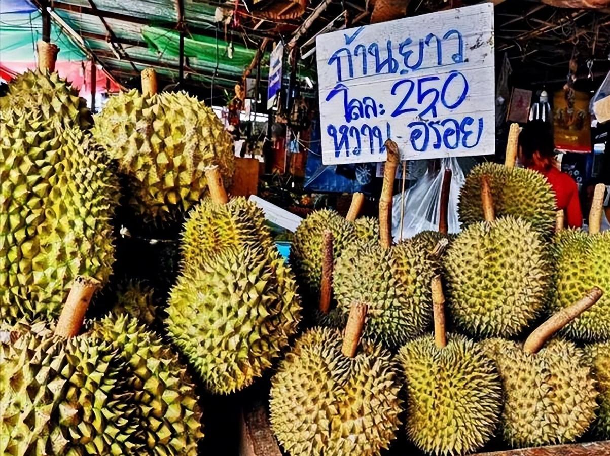 在泰国生活的真实感受,移民泰国后的真实生活