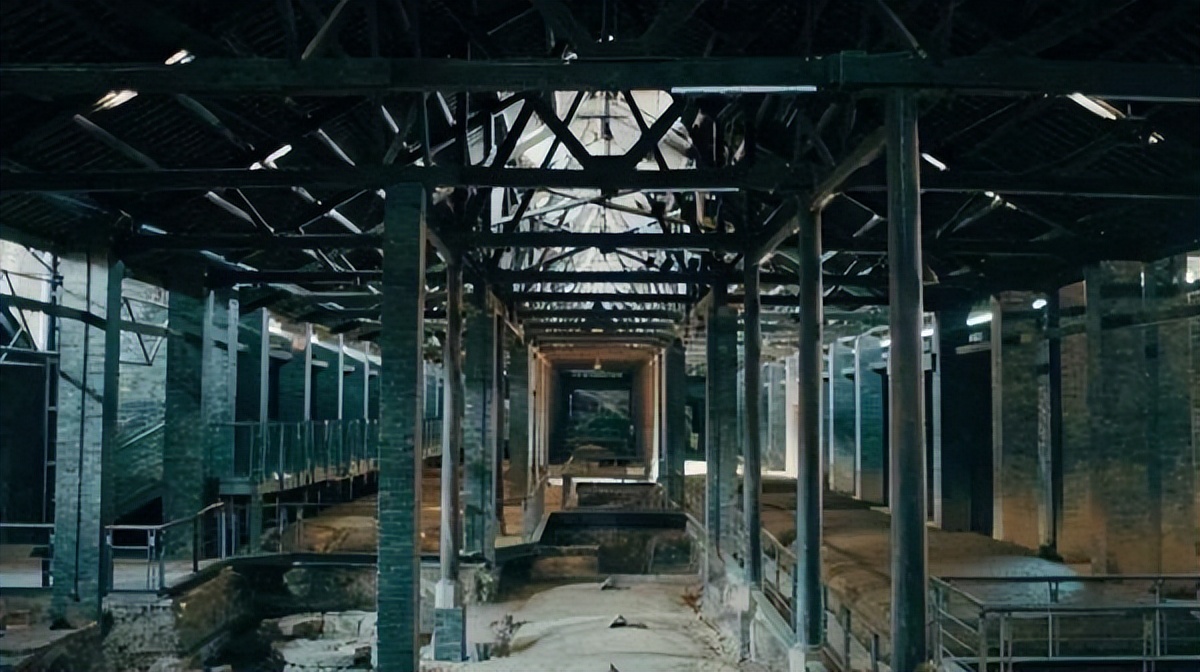 中科院微生物研究所白逢彦,中科院微生物研究所食用菌种