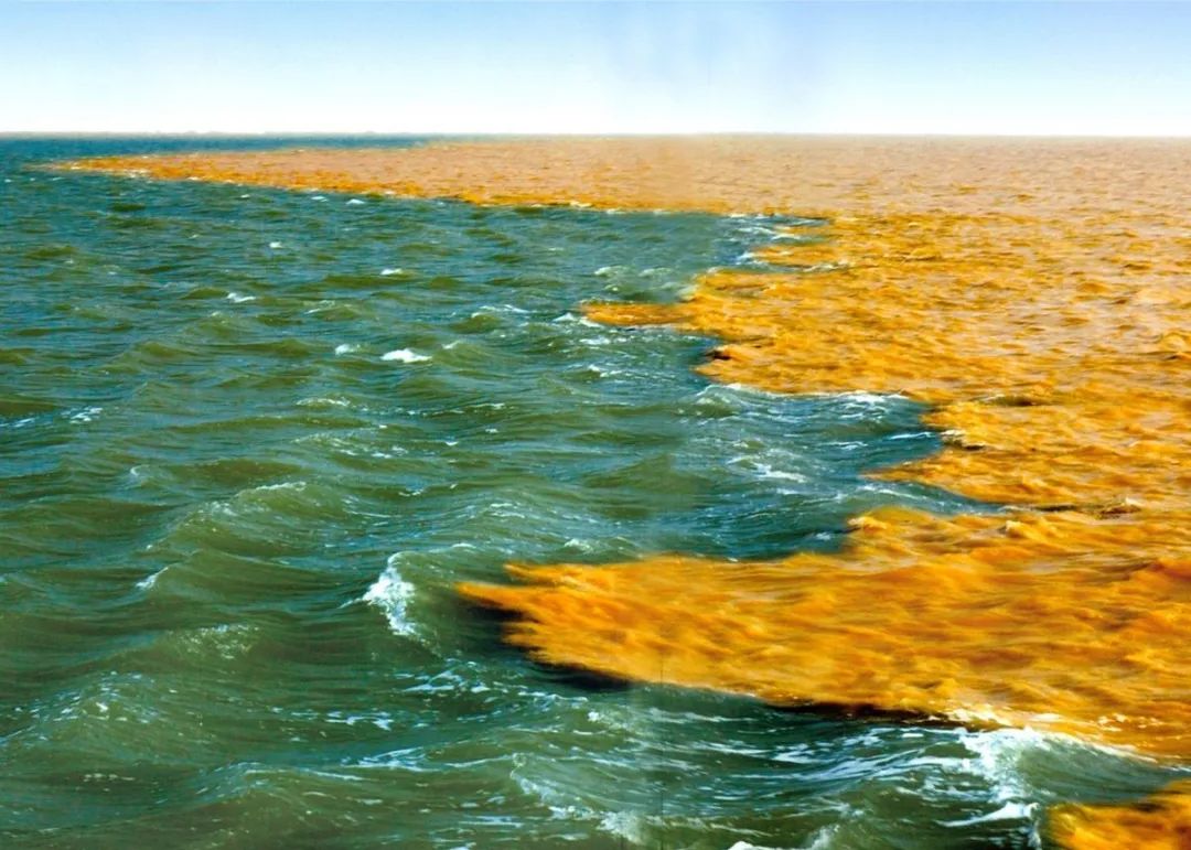 当河流遇到大海,海洋的神奇探险之旅