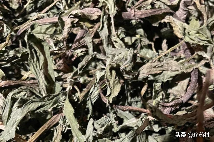 中药材牛大力目前收购价,8月4日药材市场行情