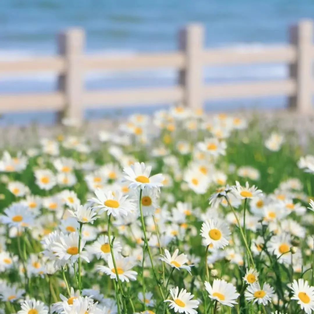 治愈系背景图高清版风景,风景素材治愈系哪里找