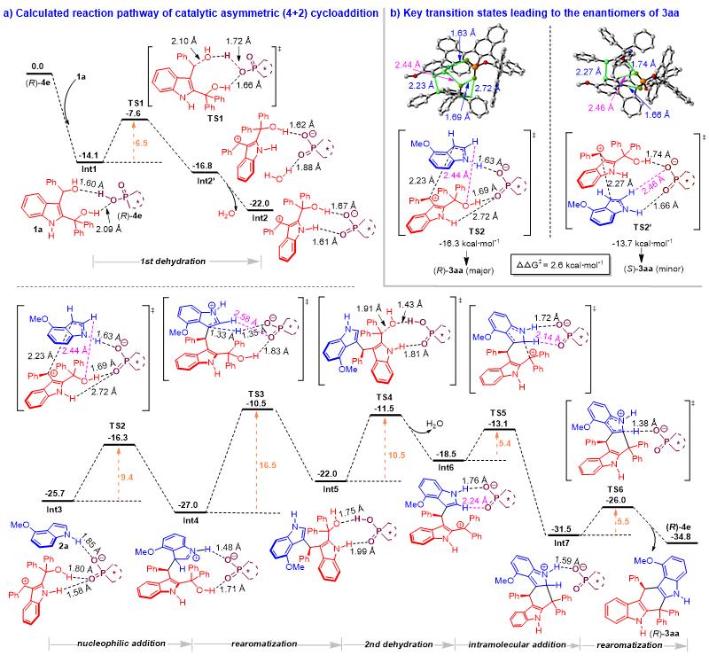 吲哚二甲醇参与的催化不对称,4+n环加成反应