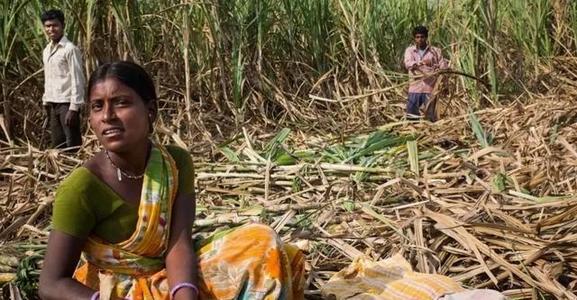 印度的农田私有化,印度废除农改法案影响