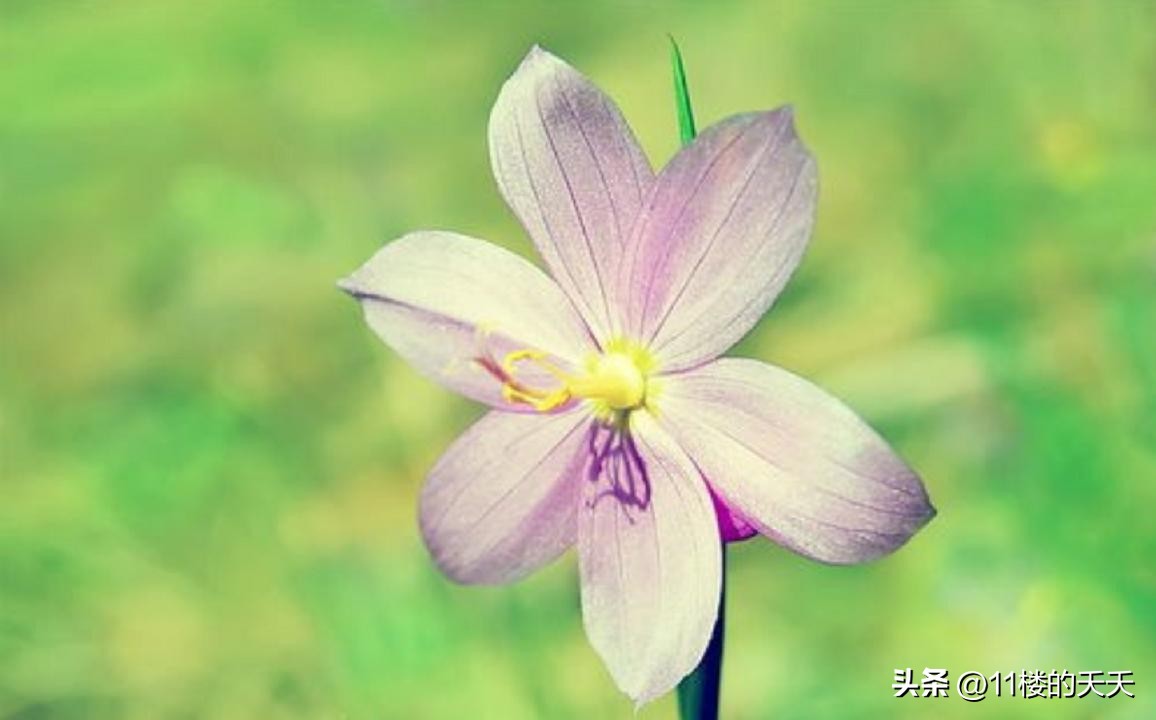 不联系的微信好友是删除还是拉黑,没有联系的微信好友要不要删除