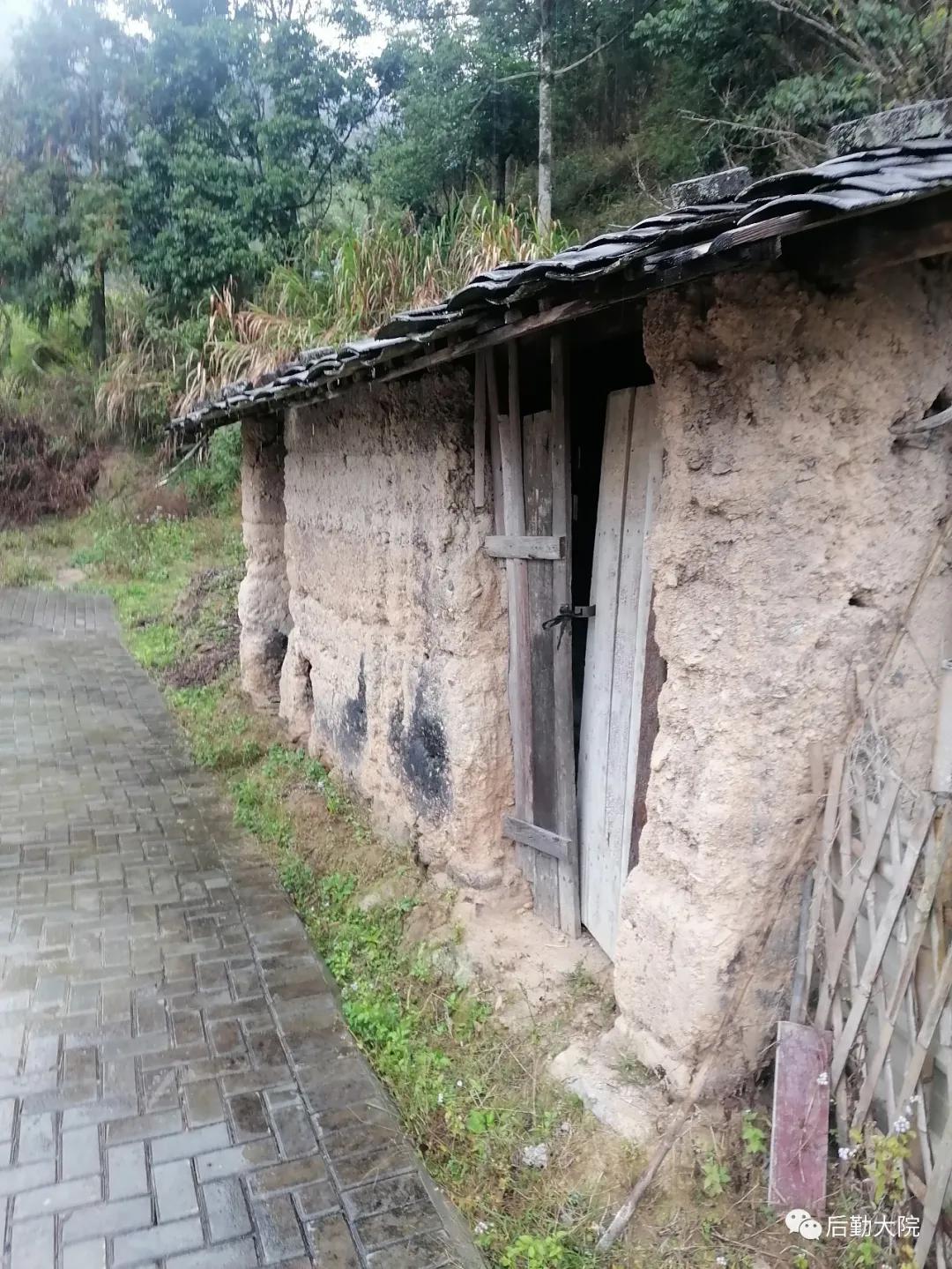 知青点的村支书叫“依派”