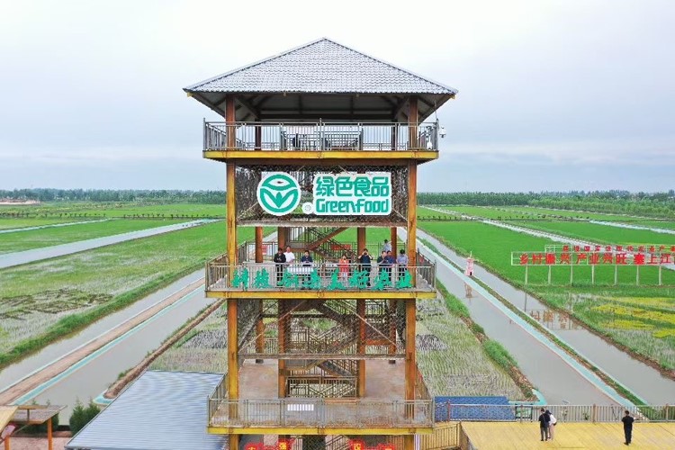 宁夏农业绿色发展,宁夏打造特色现代农业产业体系