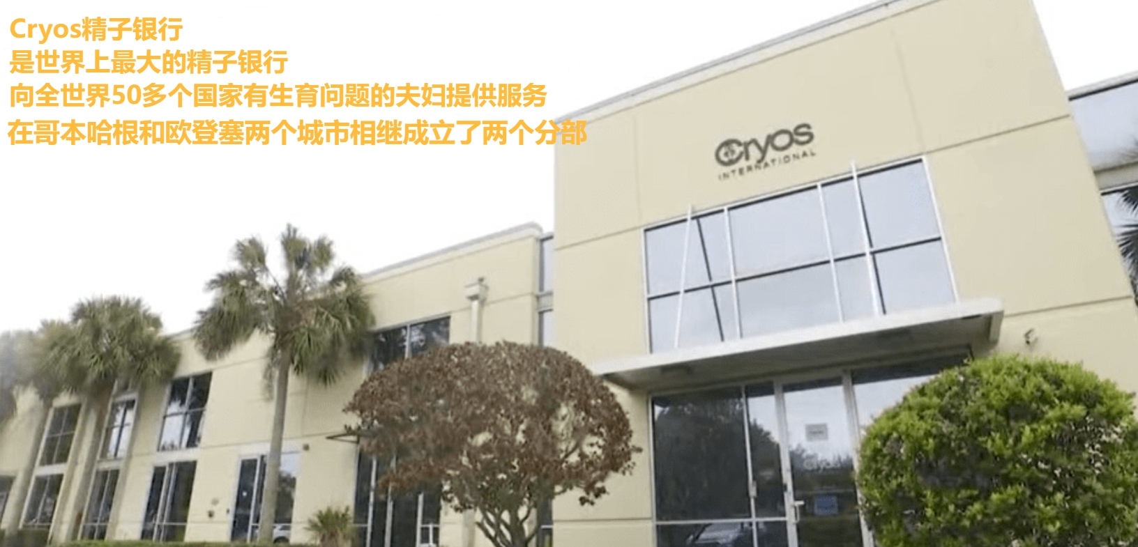 最强“配种王”一年捐精超百次：日本人为了“小蝌蚪”多么疯狂？