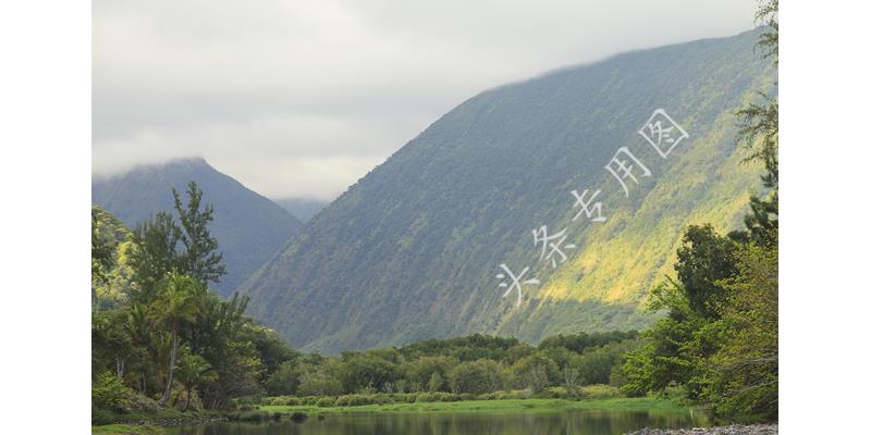 因一块红烧肉，7旬岳父让女婿滚，4年后岳父悔悟，女婿：不会原谅