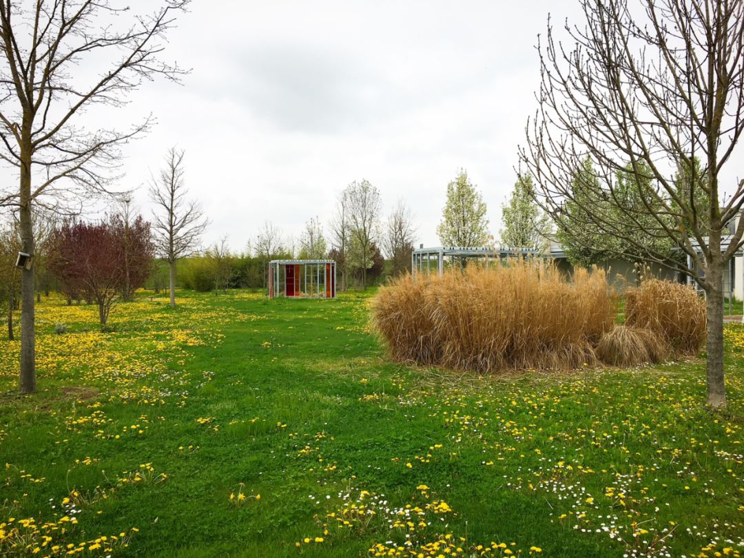 幼儿园的理念对孩子的重要性,幼儿园存在的意义是什么呢