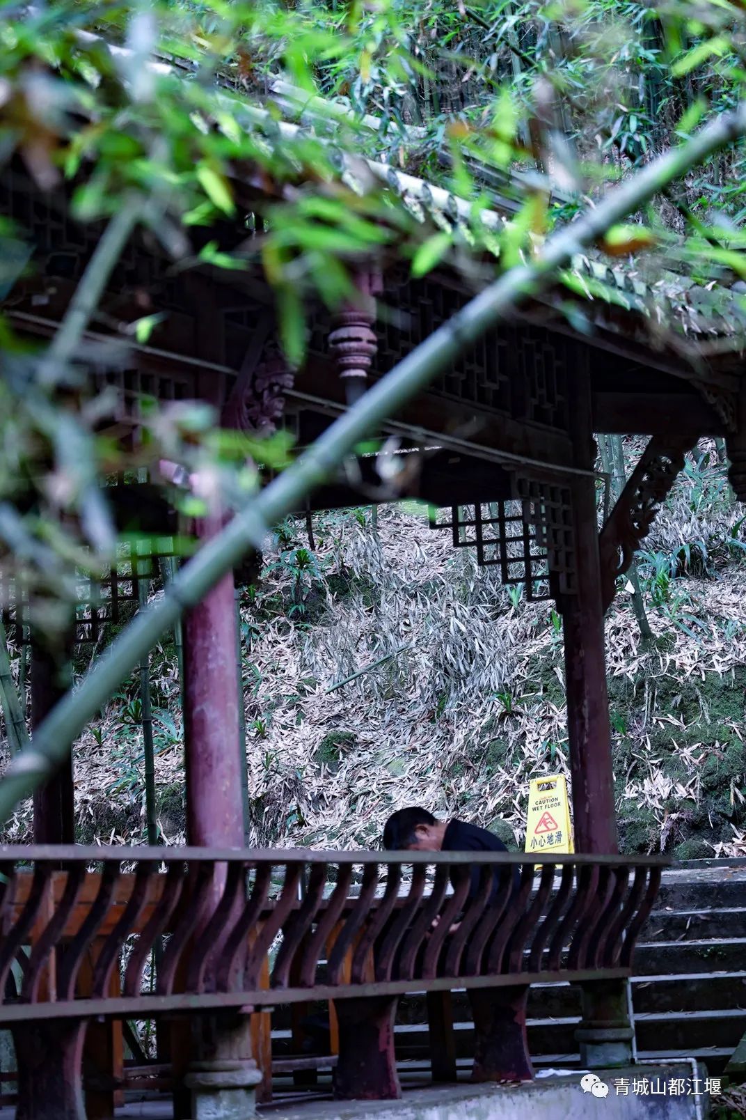 水灵妹旅行攻略,水灵妹旅游景点