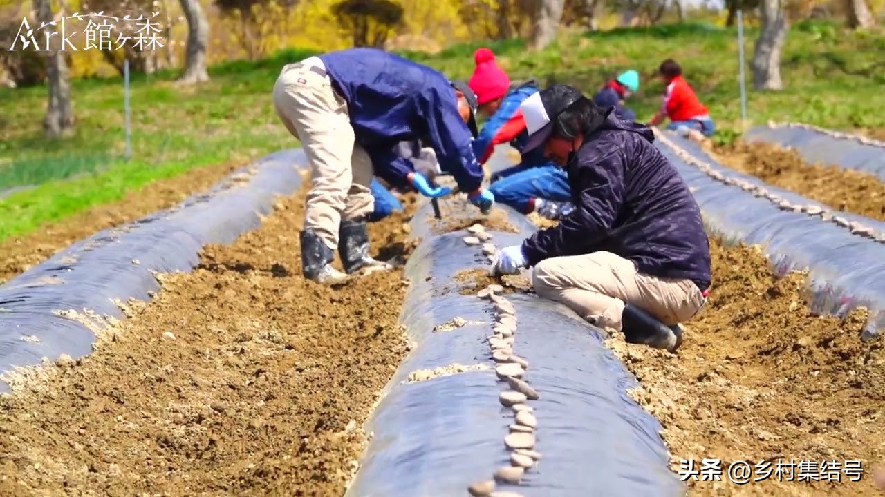 【推荐】日本馆森方舟牧场：让农业变成年轻人梦想的魅力产业