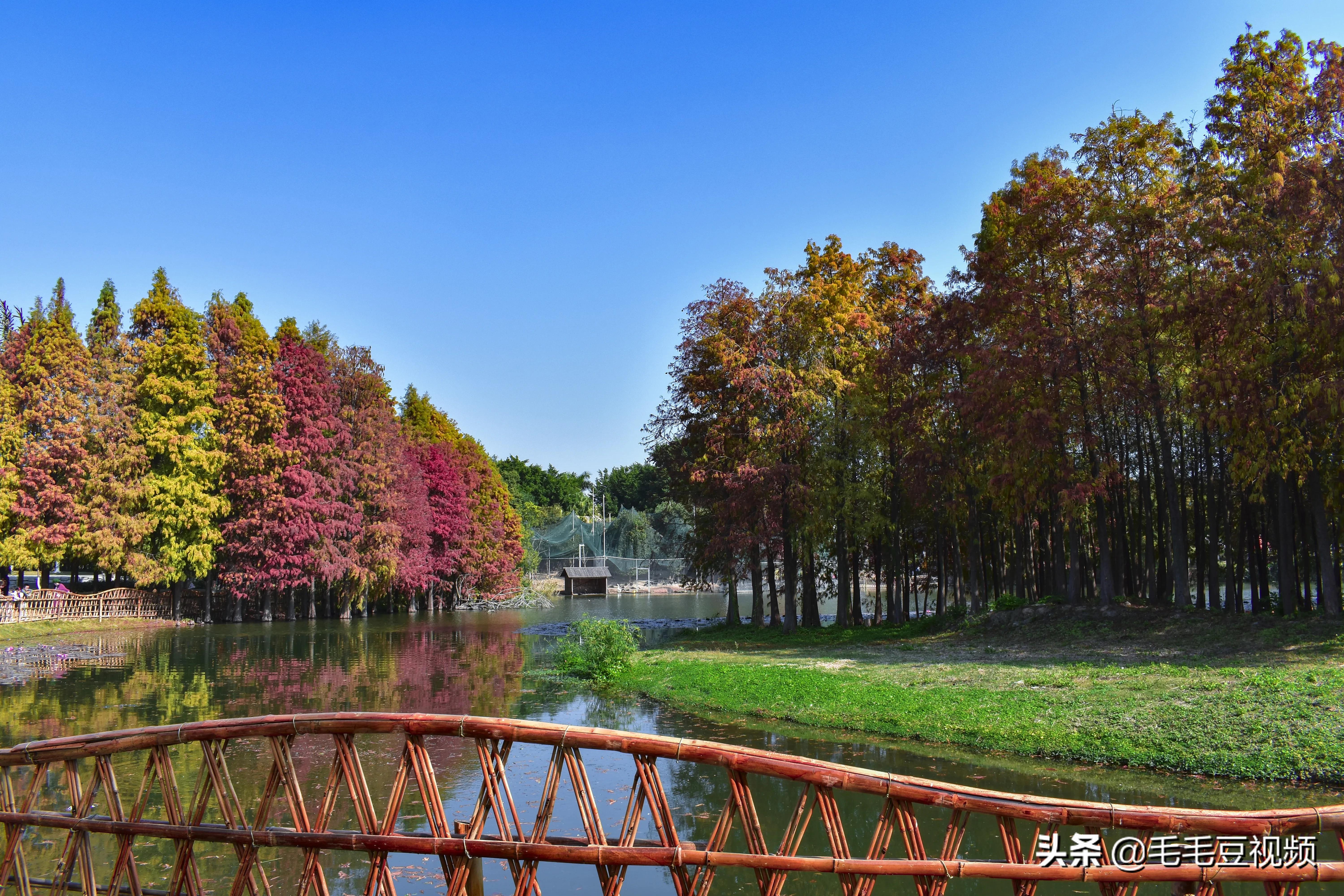 厦门适合初次约会的景点,厦门约会免费景点攻略图