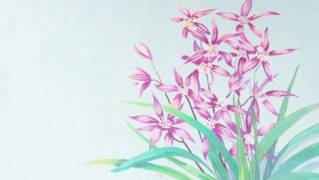 遇见彩虹打卡视频,遇见彩虹遇见美景