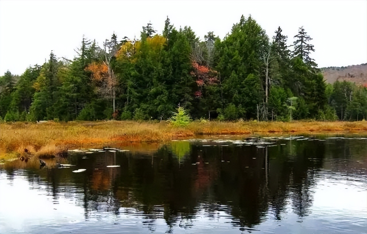 马云如果不卸任会怎样,马云卸任后的目标