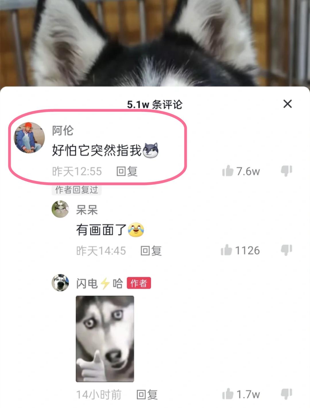 淘宝评论区的买家秀有多离谱？哈哈哈看完网友评论真的笑yue了