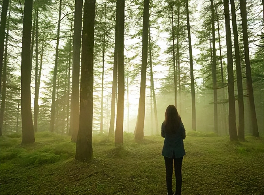 老是胡思乱想是精神内耗吗,怎么让自己不焦虑胡思乱想不内耗