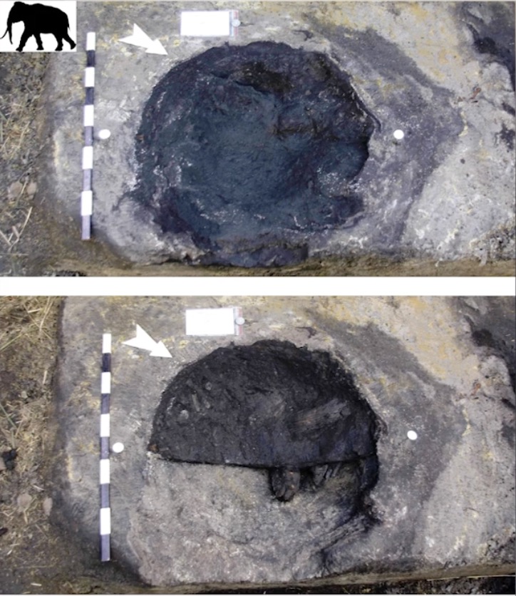 史前人类脚印大全,发现距今12万年的人类脚印