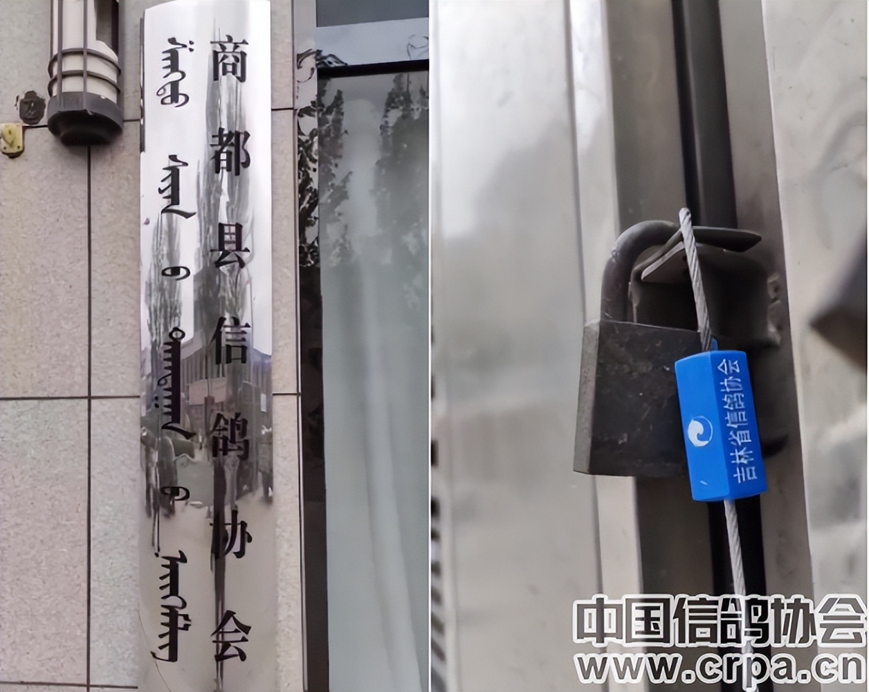 东三省迎来千公里联翔|2023年“国家赛”内蒙古商都赛区今日开战