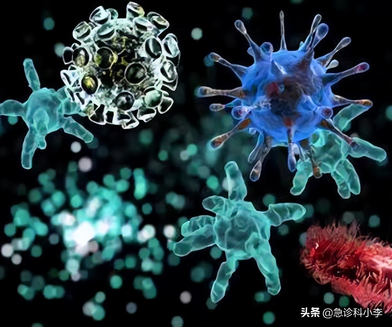 蜱虫咬人死亡率多少,蜱虫咬后死亡率新闻