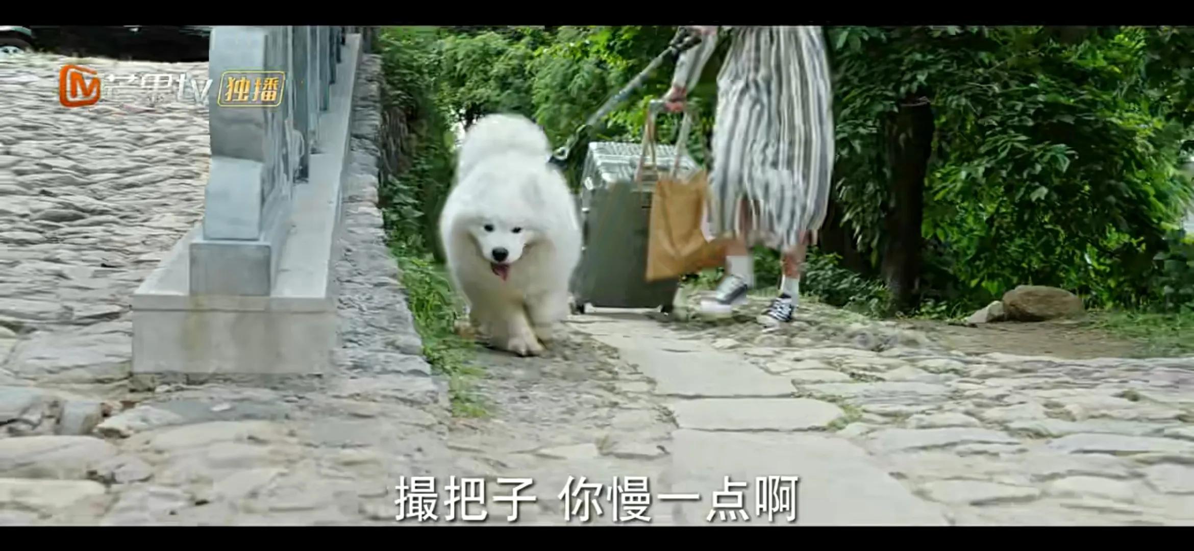 《去有风的地方》许红豆陪娜娜走出网暴阴霾，娜娜直面人生再直播