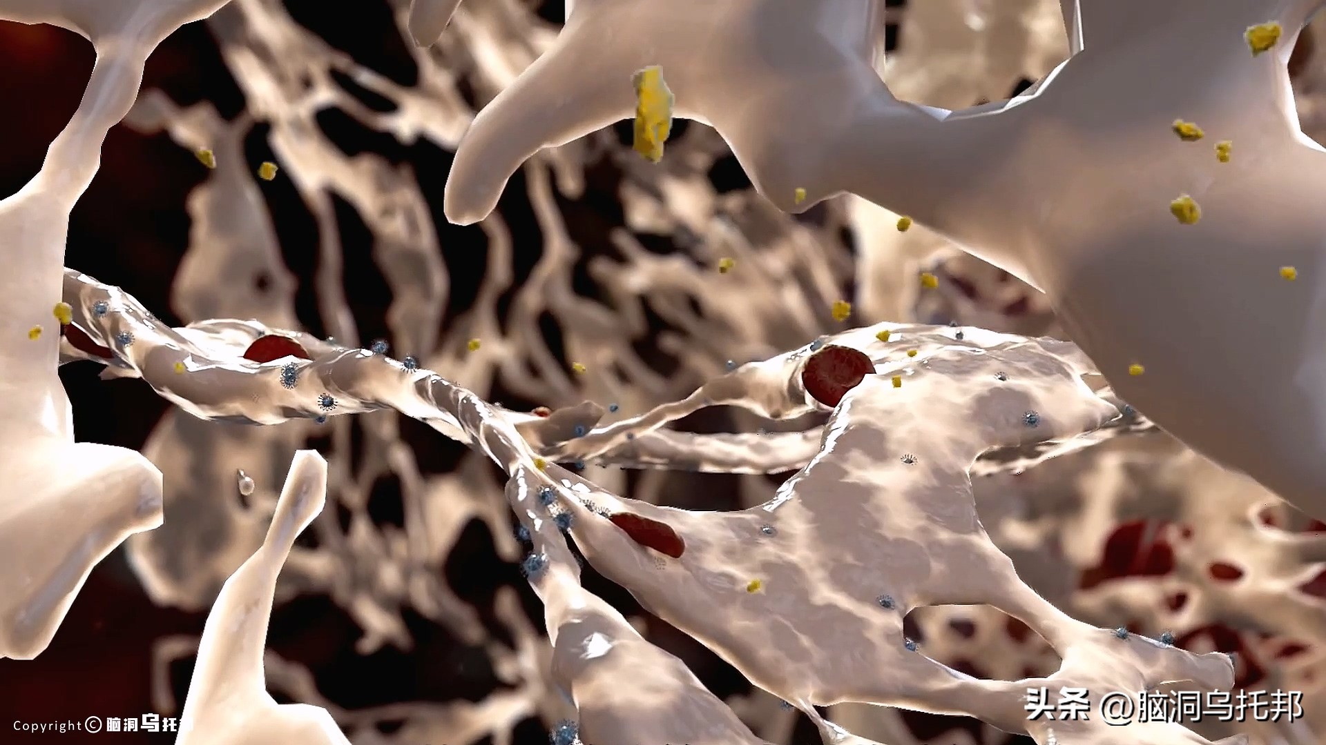 无症状感染是因为体质差吗,为什么有的人感染症状轻