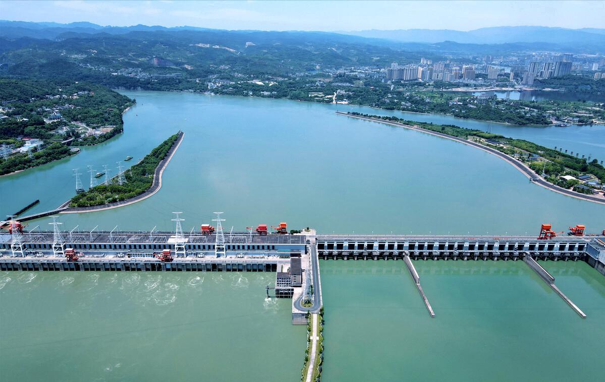 长江出现神秘物种“鳤”,长江禁渔出现新物种