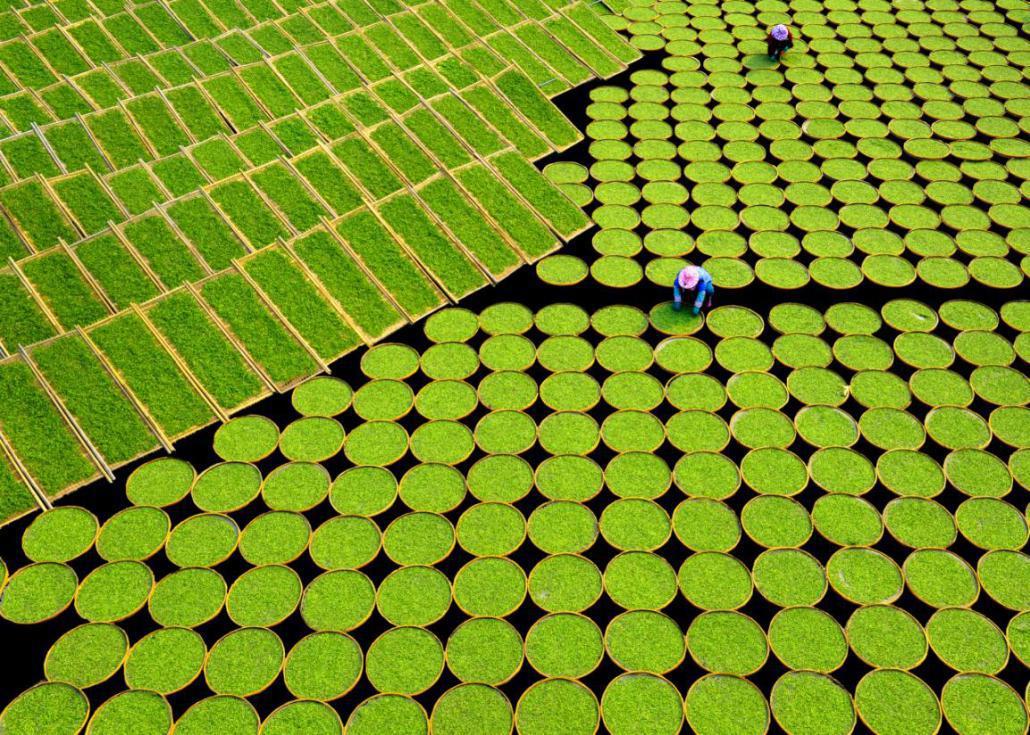 从零开始电商,教你如何从零开始做电商