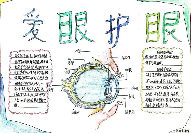 守护睛彩世界点亮光明未来团课,守护睛彩视界点亮光明未来内容