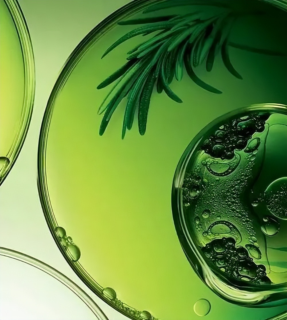 植物提取物是智商税嘛,植物提取物属于食品吗