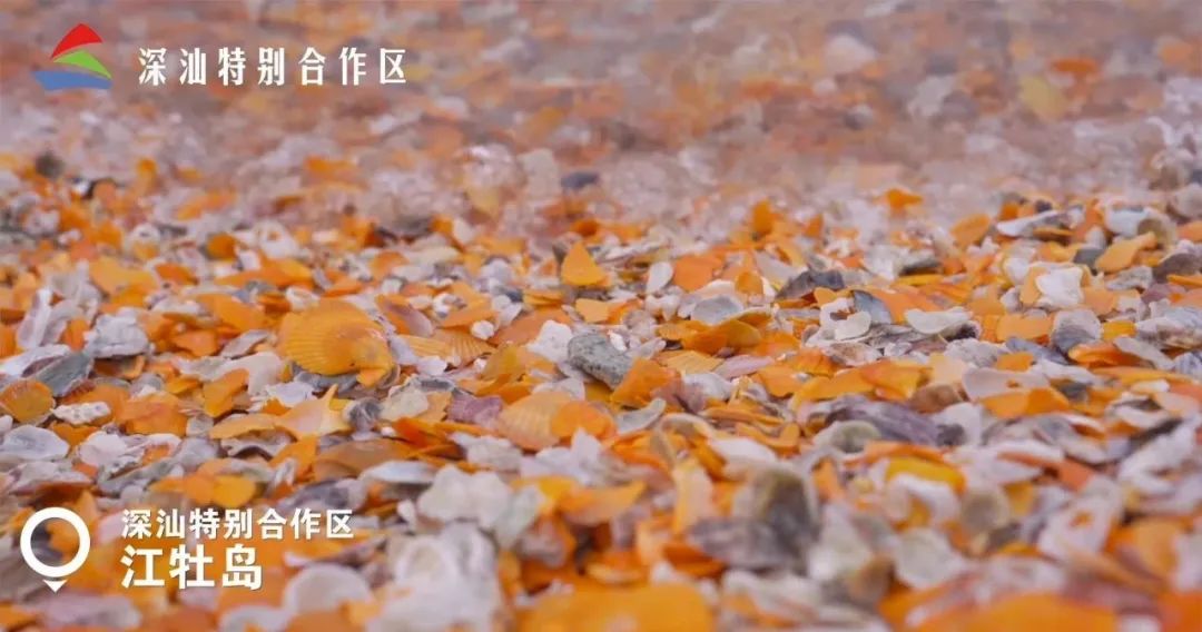 深圳十大免费露营景点推荐,深圳十大免费露营海边景点