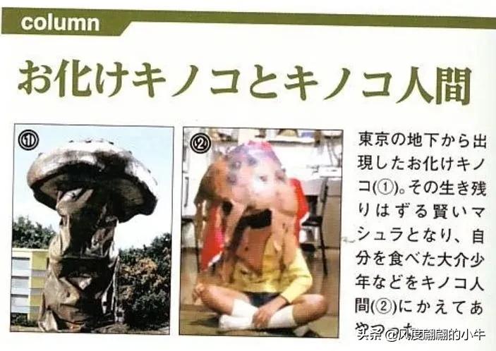 泰罗奥特曼tv怪兽图鉴,泰罗奥特曼tv版剧场