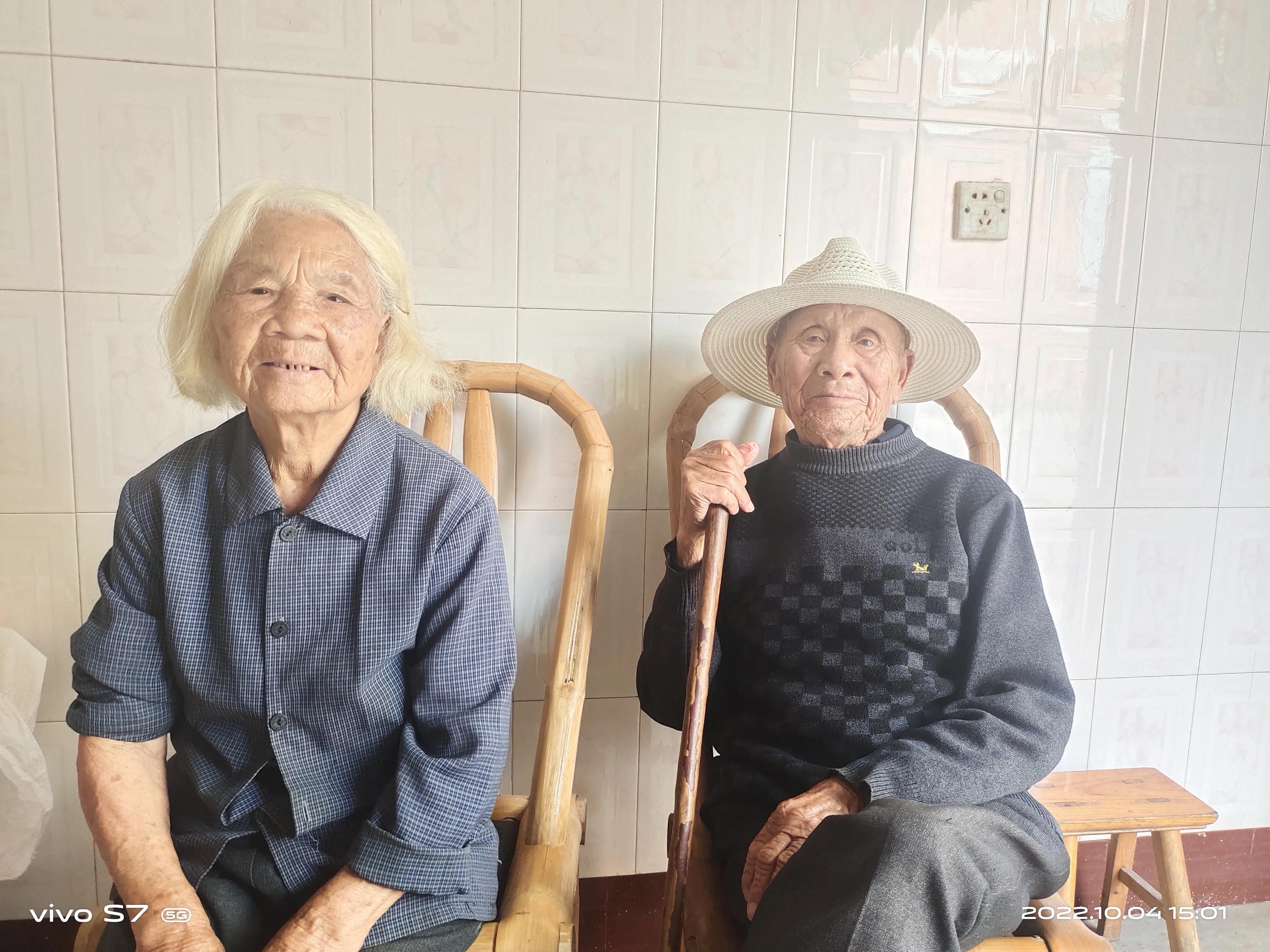 泰顺三杯香茶官网,泰顺县三杯香茶产地