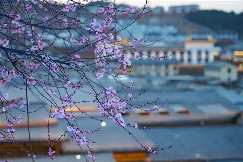 租车游玩套路,租车旅游有什么风险