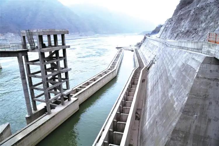 三峡大坝里面最大的鱼有多大,三峡大坝里最大的鱼