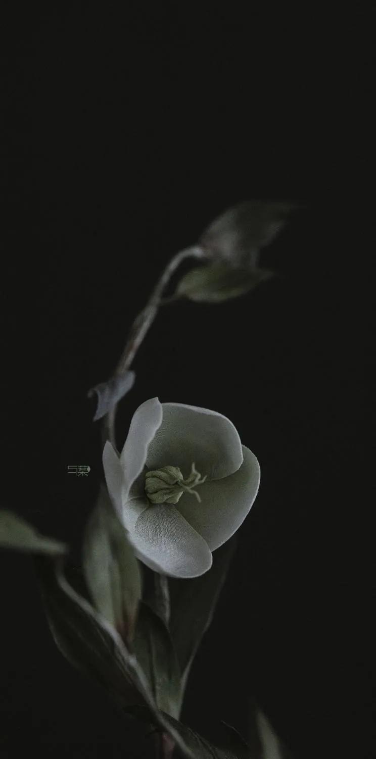 黑暗系的壁纸文字,黑暗色系的壁纸