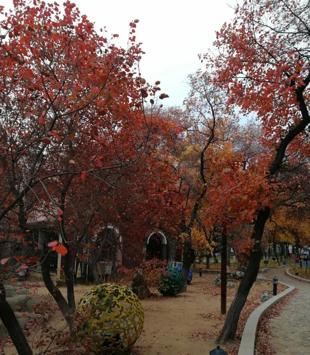 北戴河怪楼奇园景区冬季,北戴河景点怪楼奇园