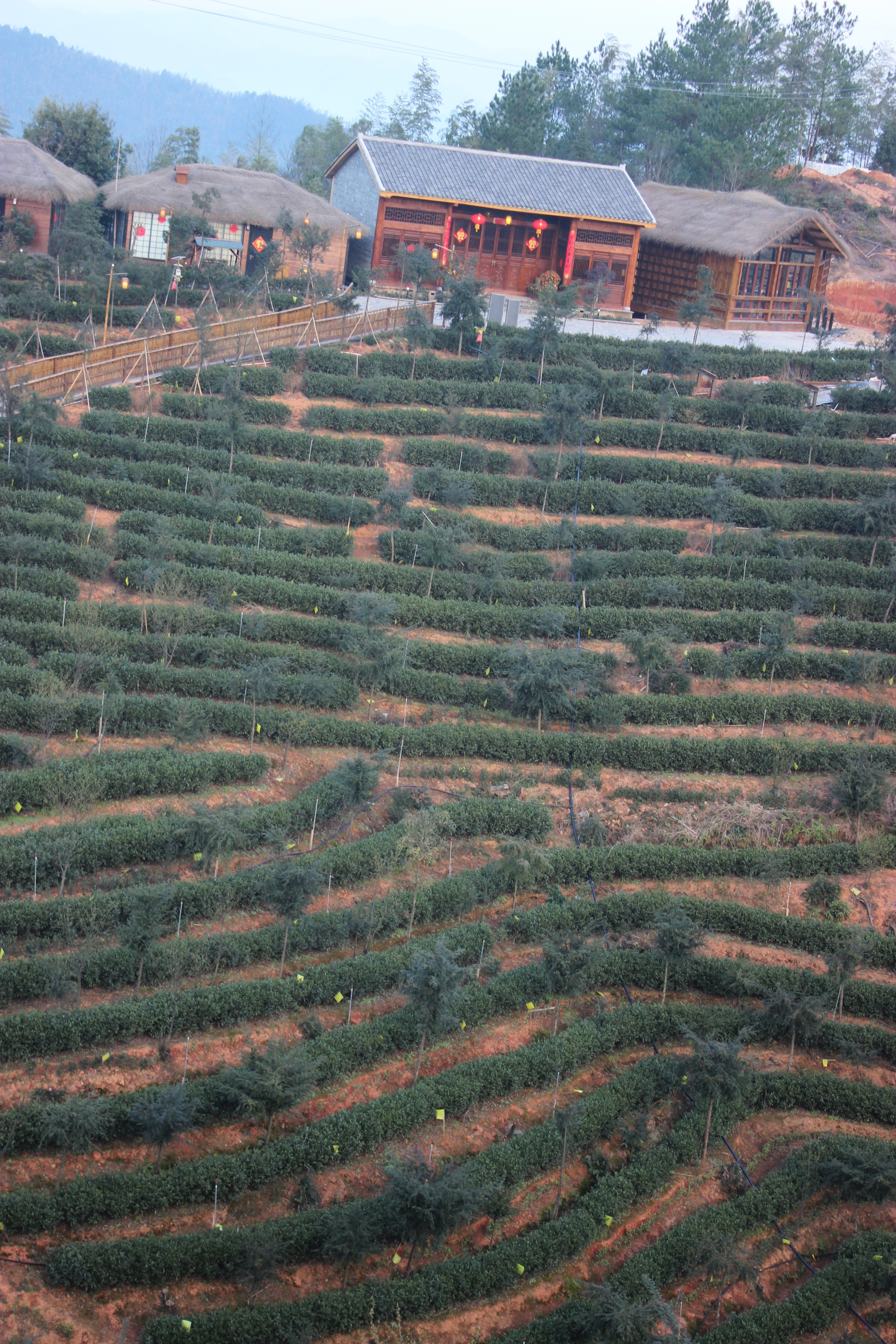 赣州周末出游攻略,春节赣州出发2-3天短途旅游