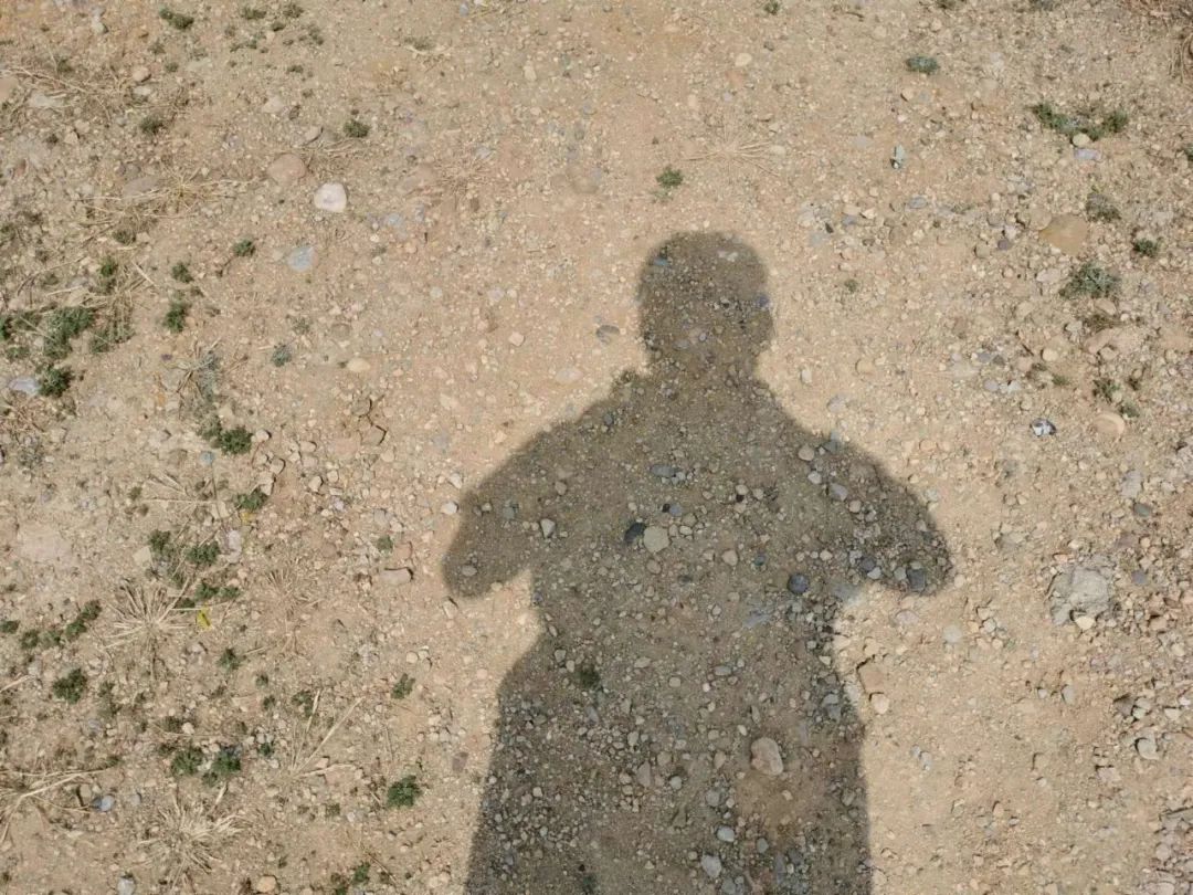 石家庄最好玩的山林,石家庄原始森林旅游景区