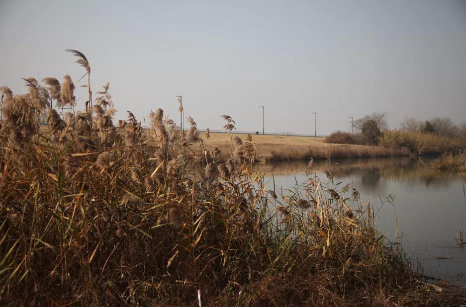 杭州西湖微信头像图片,杭州风景图片头像