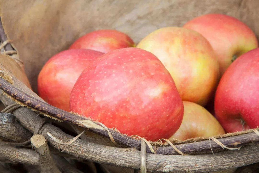 深圳必逛的批发市场,深圳值得逛的批发市场